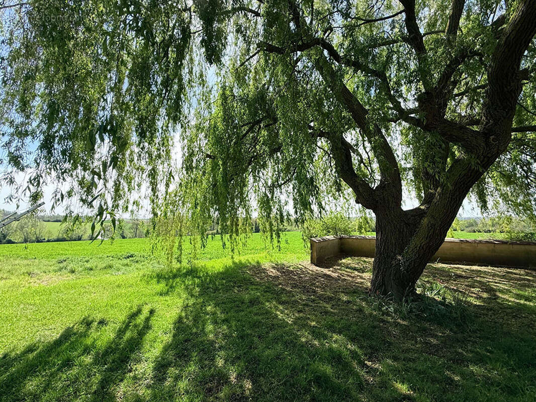 Maison 90m² à herbeville - photo 18