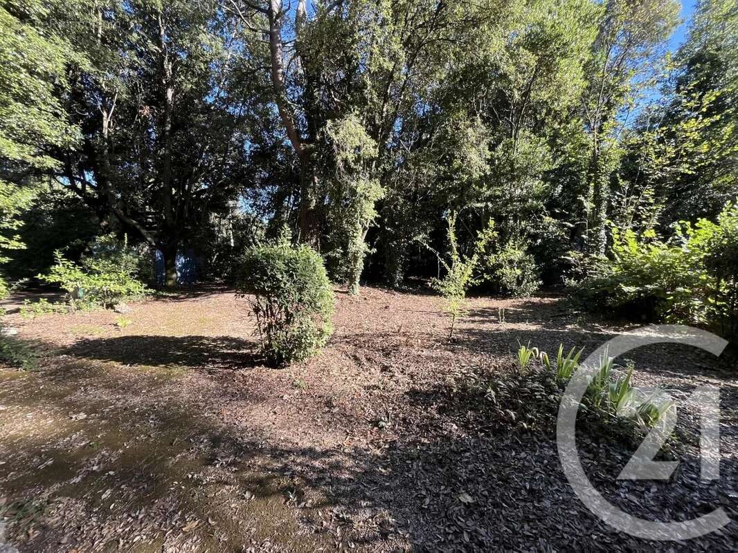 Terrain à ROQUEFORT-LES-PINS