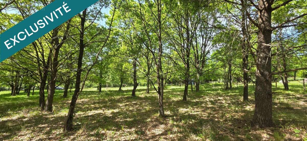 Photo 2 - Terrain à YZEURES-SUR-CREUSE