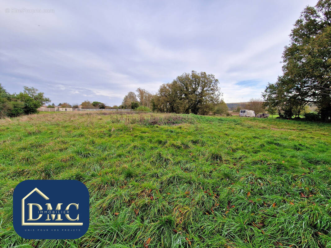 Terrain à CINTEGABELLE