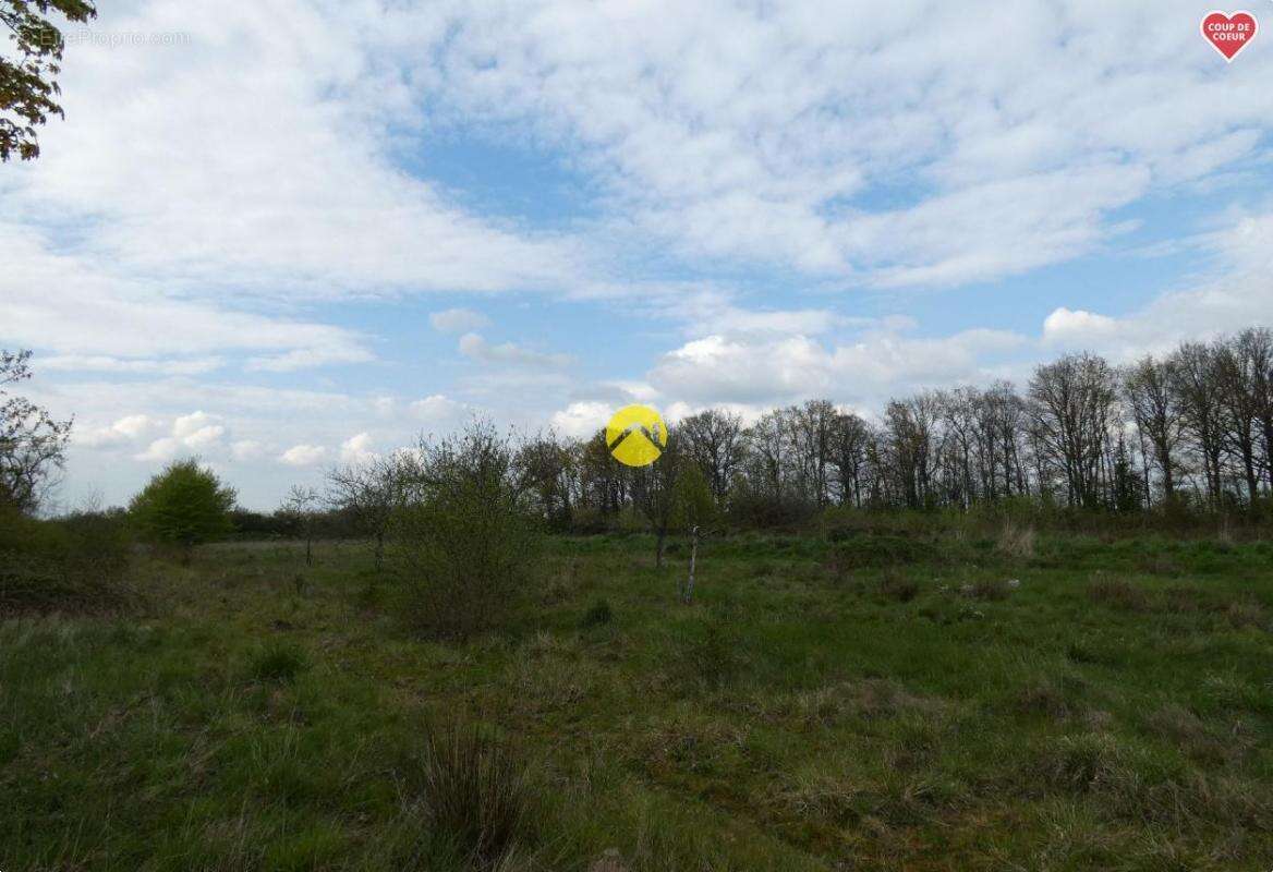 Terrain à COULLONS