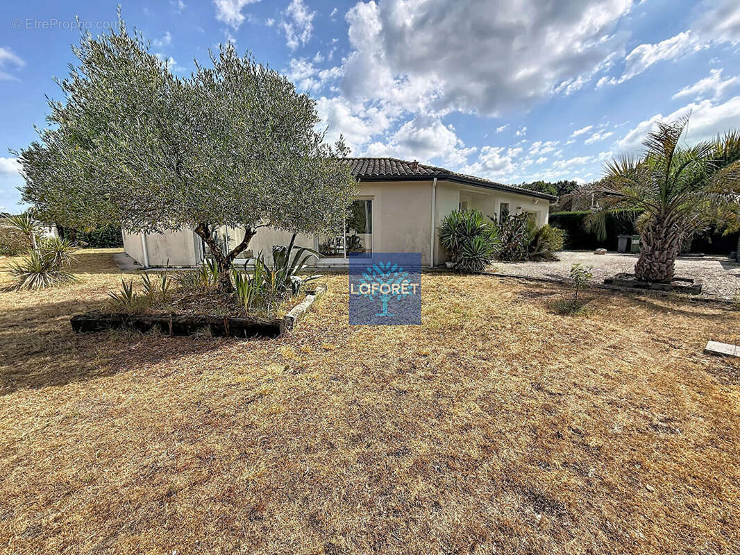 Maison Martignas Sur Jalle 5 pièces 150 m² - photo 13
