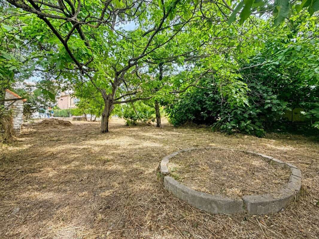Cagnes-sur-mer - propriété de 2 maisons - terrain plat de 2 400 m² - photo 16
