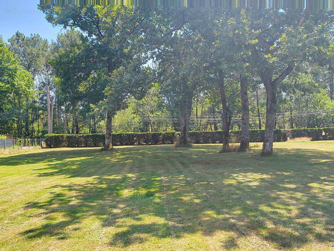 Terrain à SAINT-JEAN-D'ILLAC