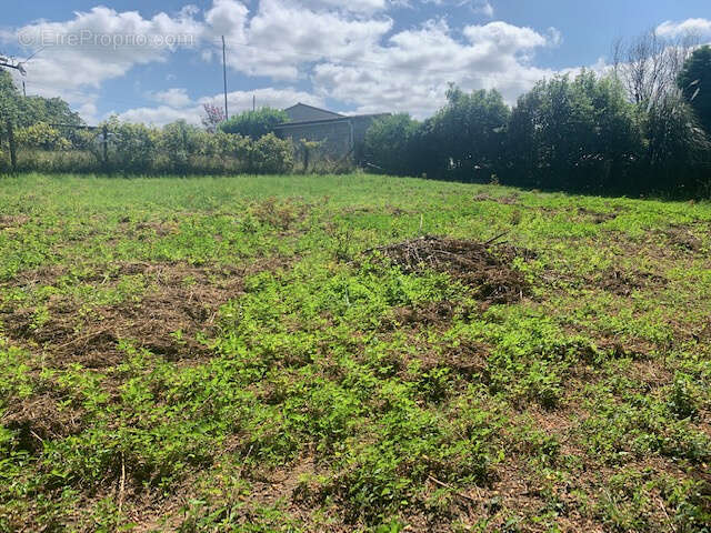 Terrain à SAINT-THOMAS-DE-CONAC