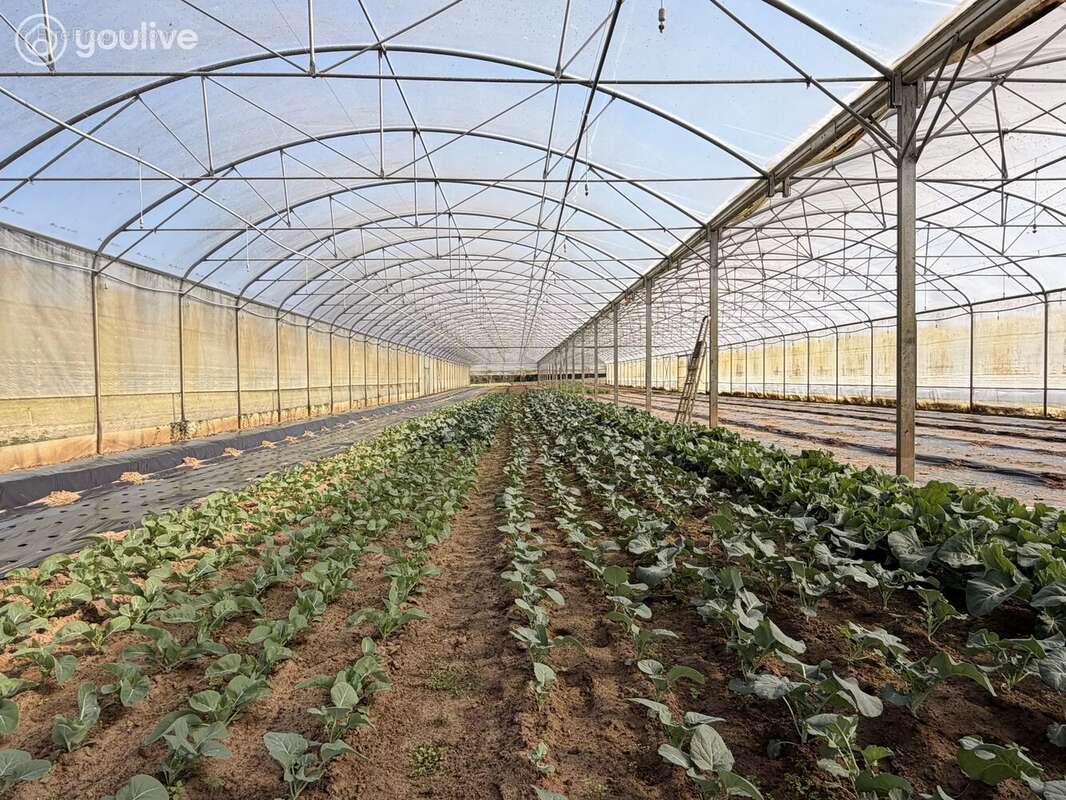 Terrain à MACHECOUL