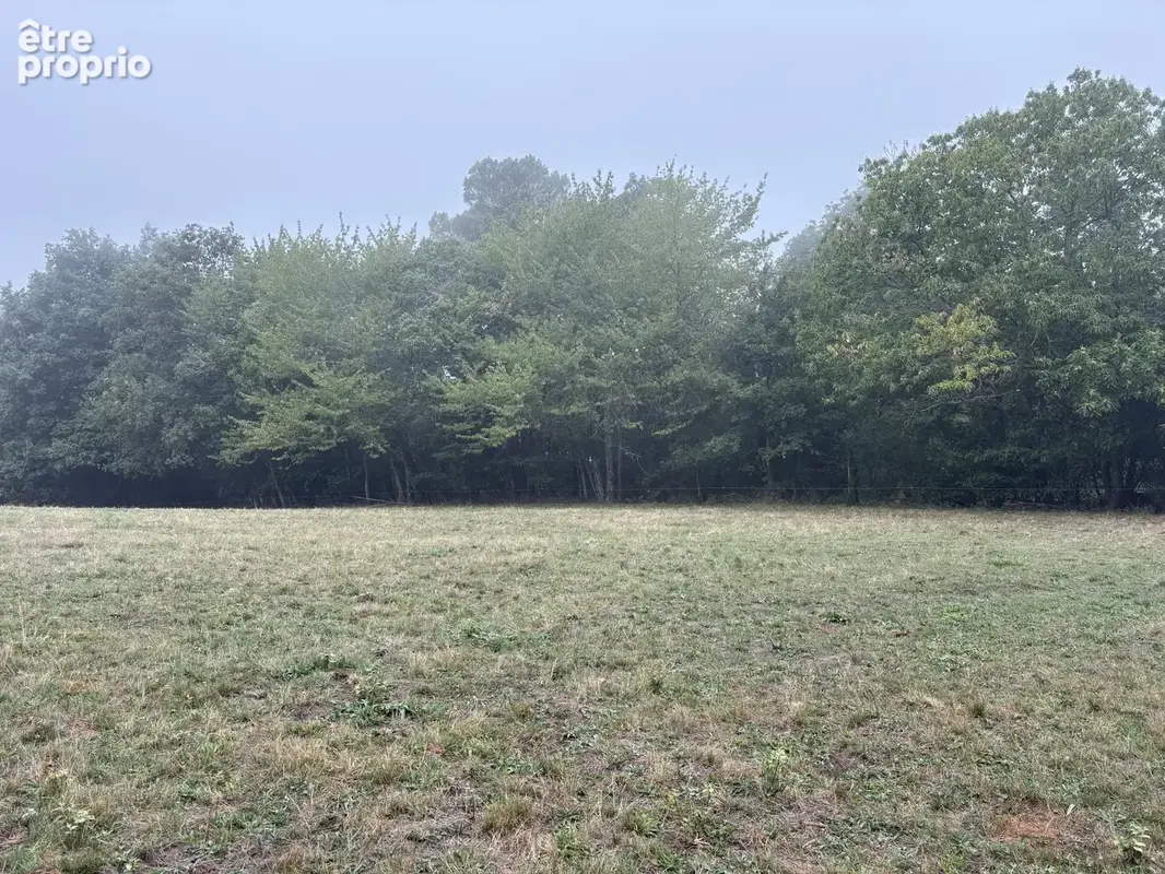 Un bel écrin de verdure pour votre projet en Périgord Noir - photo 3