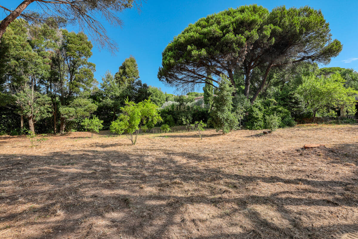 Terrain à SAINT-TROPEZ