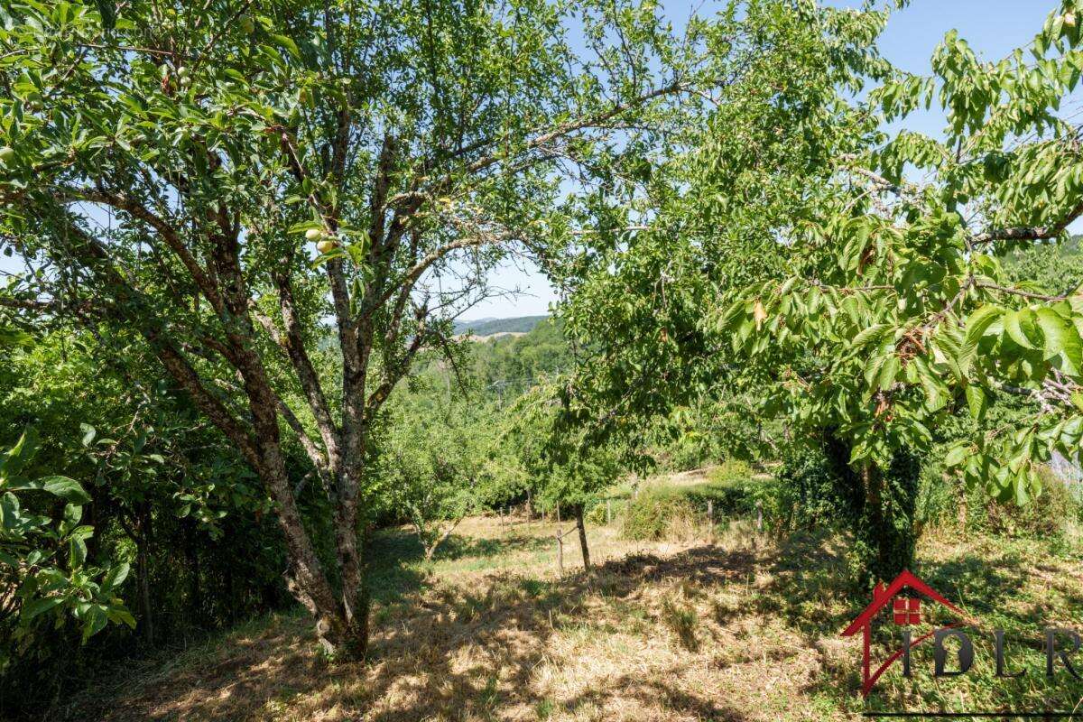 RARE   Maison de Village avec Vue et Potentiel à Coiffy-le- - photo 17