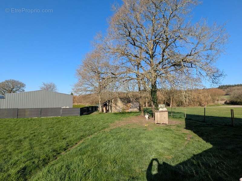 Saint tugdual maison de 110 m² 5 pièces 4 chambres avec vie de plain pied sur parcelle de 4479 m² - photo 6