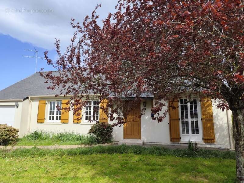Maison à SAINT-JACUT-LES-PINS