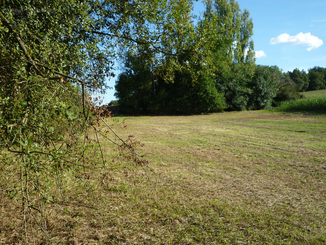 Terrain de loisir - photo 11