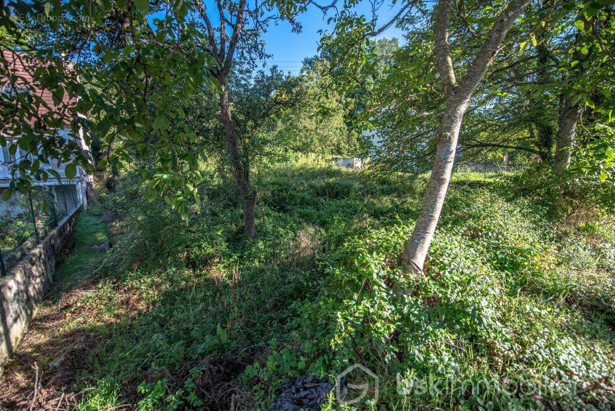 Terrain à SOUPPES-SUR-LOING