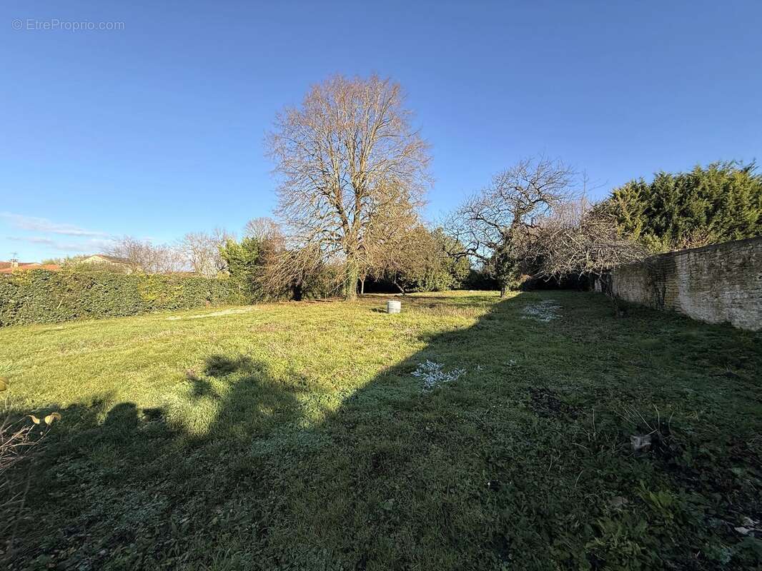 Maison à SALLES-DE-VILLEFAGNAN