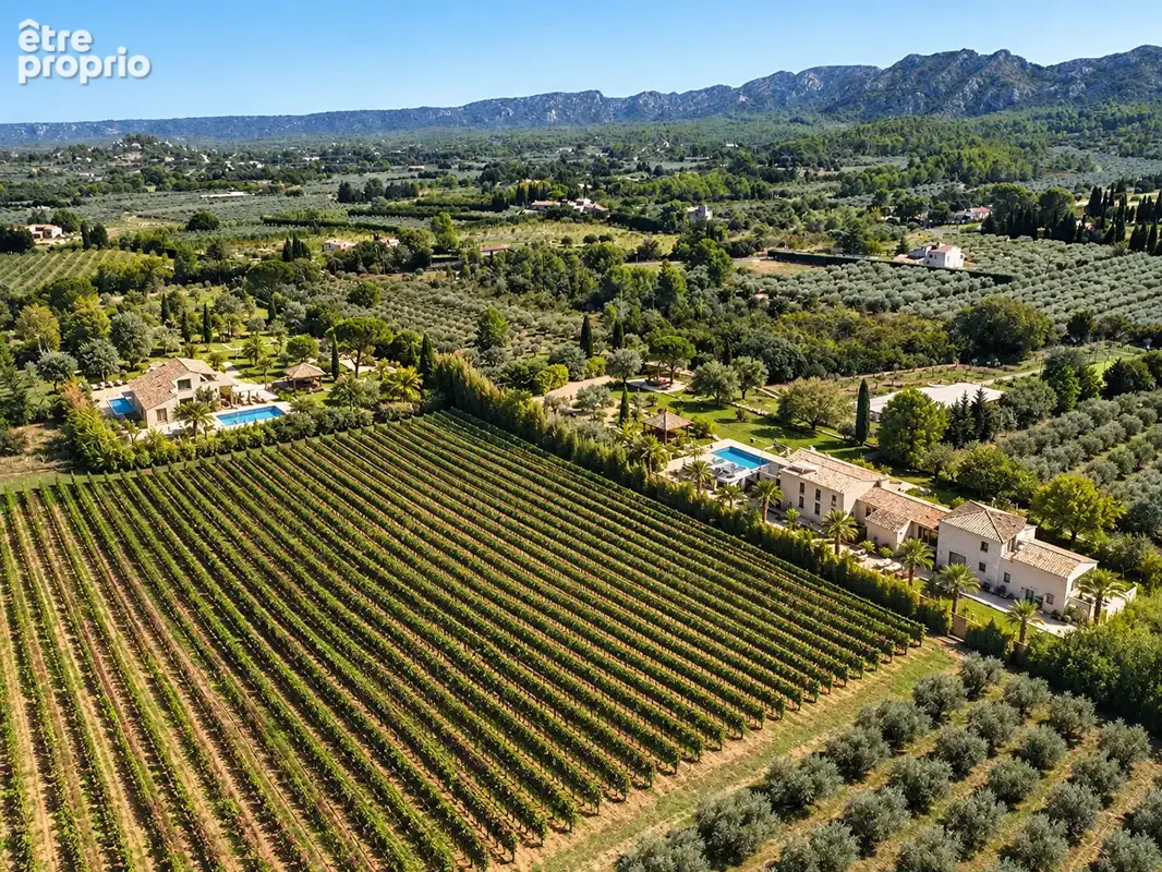 Eygalières , domaine privé avec deux villas, deux piscines, padel et vue sur les Alpilles - photo 2