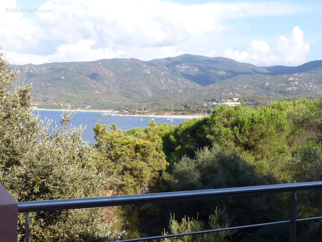 Maison à COTI-CHIAVARI