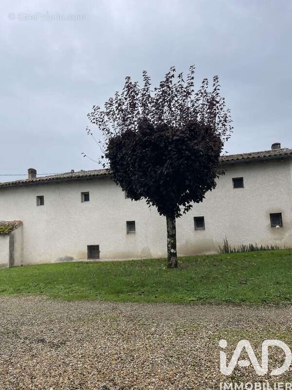 Photo 4 - Maison à CHADENAC