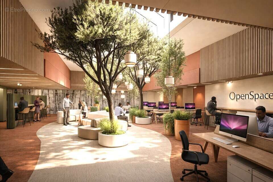 Commerce à TOULOUSE