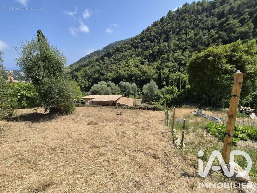 Terrain 802 m² à Gorbio  - photo 6