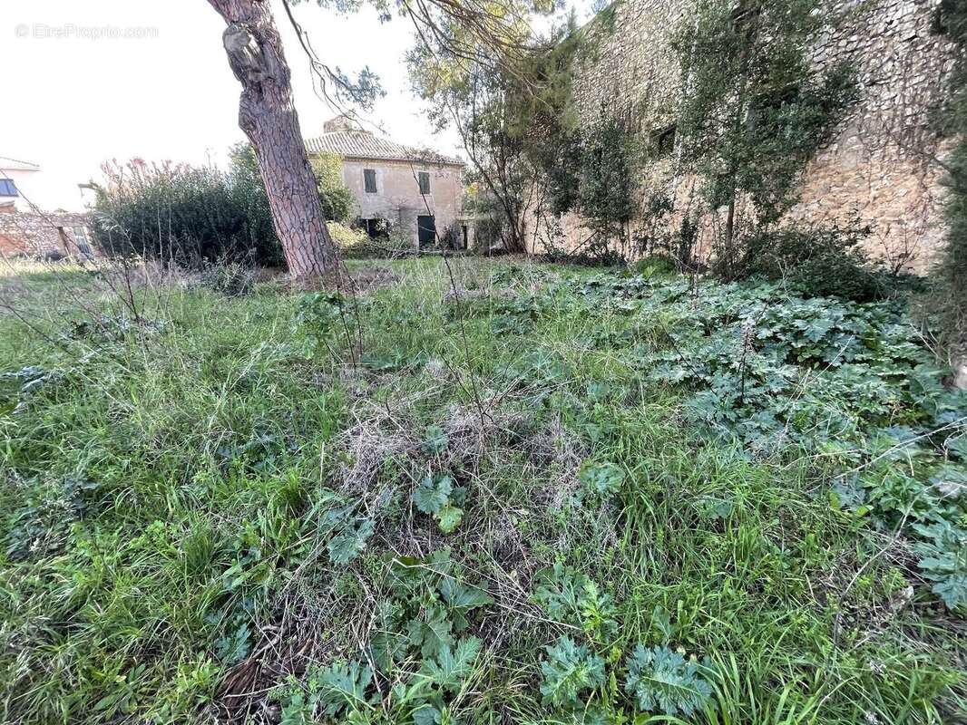 Terrain à POMEROLS