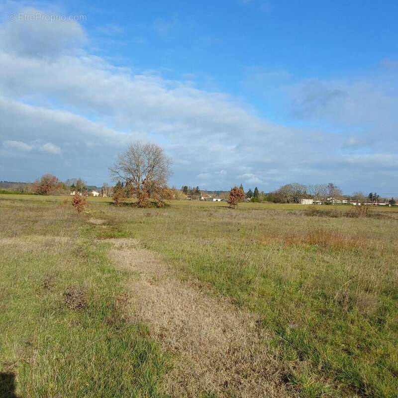 Photo 4 - Terrain à SAINT-MEDARD-DE-MUSSIDAN