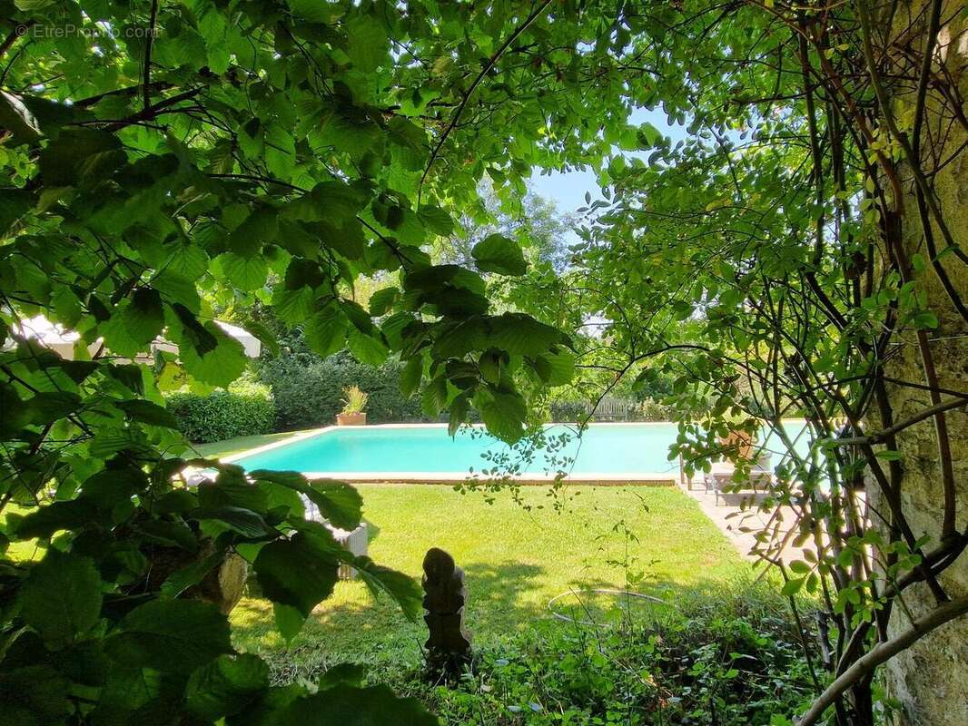 Demeure de charme avec Patio, piscine, tour au toit de lauze et jardin bucolique. - photo 18