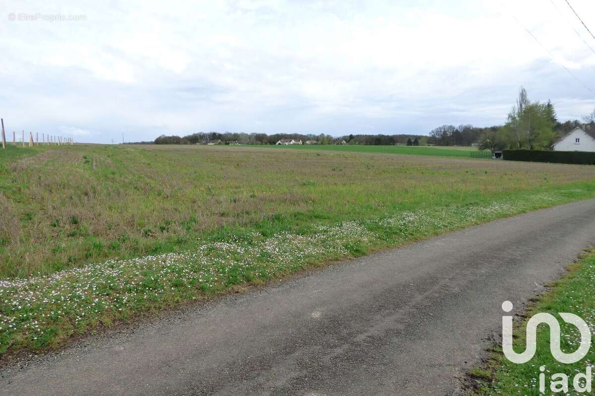 Photo 4 - Terrain à NANTEAU-SUR-LUNAIN