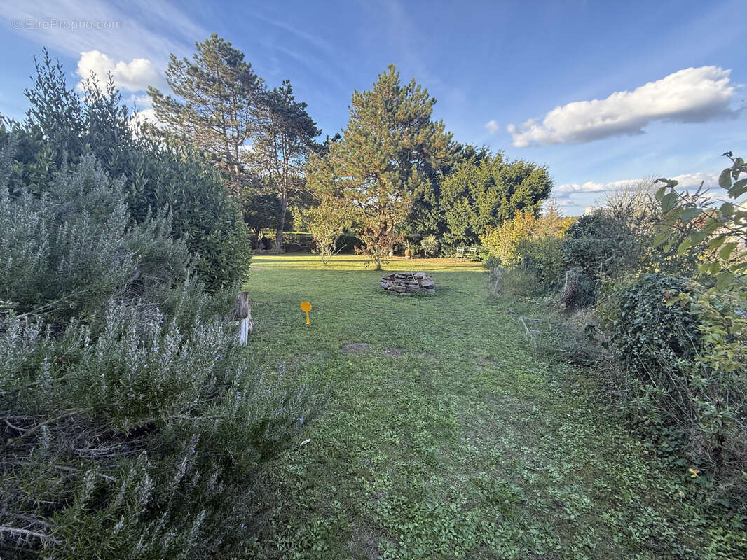 Terrain à CLOHARS-CARNOET