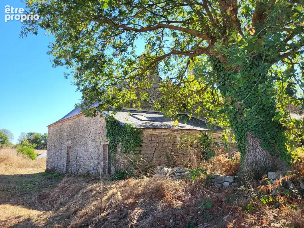 Maison 3 pièces 126 m² à vendre à Saint-Jacut-Les-Pins (56220) - photo 5
