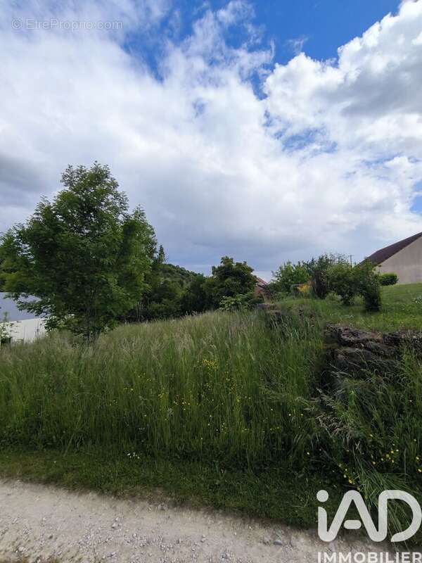 Photo 2 - Terrain à VITERNE