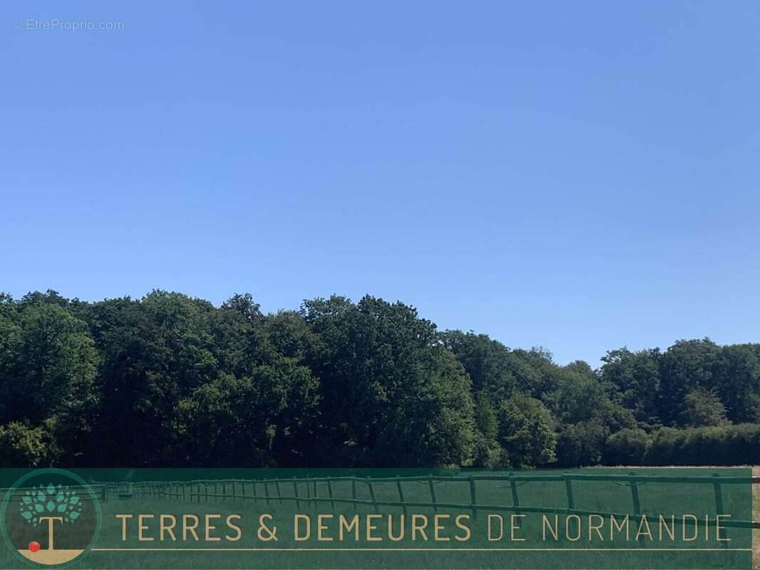 En NORMANDIE, département de l'EURE, à proximité de BEAUMESNIL, une propriété équestre avec 12 ha 40 a - photo 11