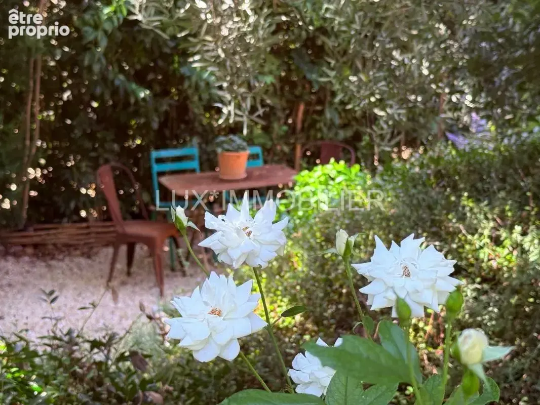 Paradou - au cœur des alpilles - photo 19