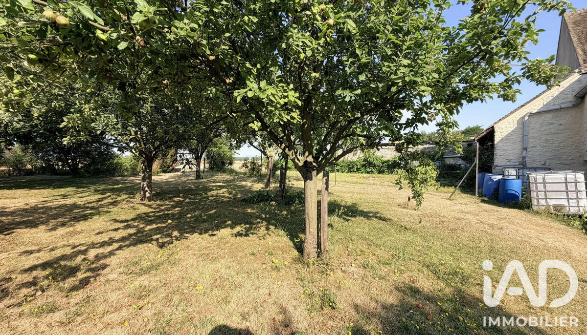 Maison 85 m² à Egligny  - photo 8