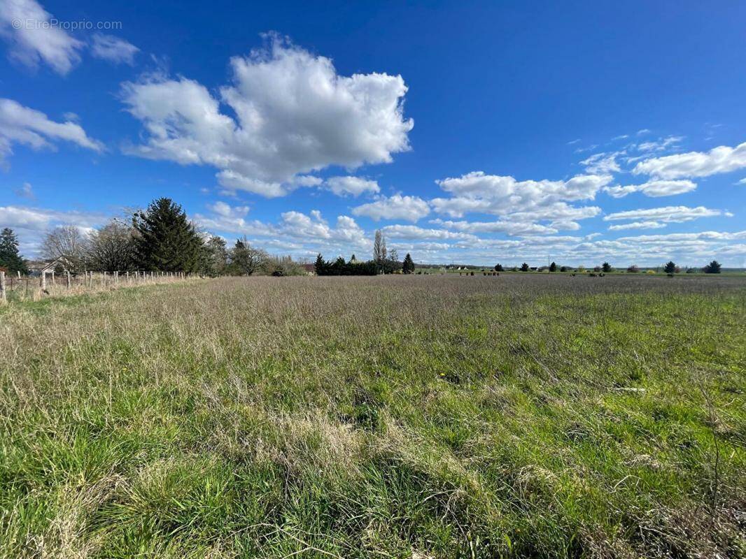 Terrain à LA CHAPELLE-SUR-AVEYRON