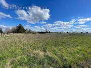 Terrain à LA CHAPELLE-SUR-AVEYRON