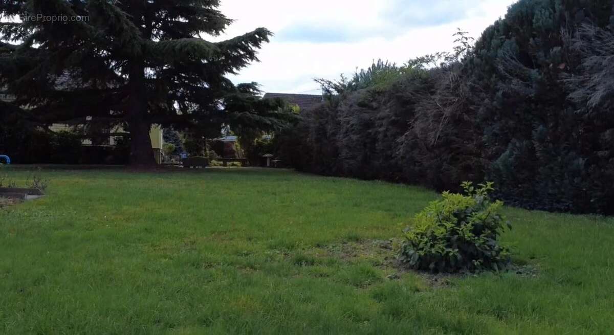 Terrain à WEITBRUCH