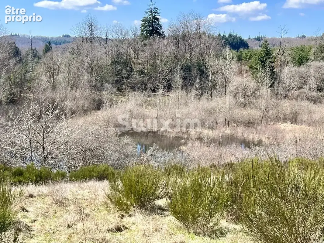 La Salvetat -Sur-Agout  superbe Château du 19eme - photo 4