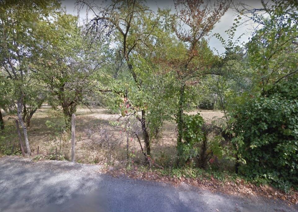 Terrain à SAINT-JORY