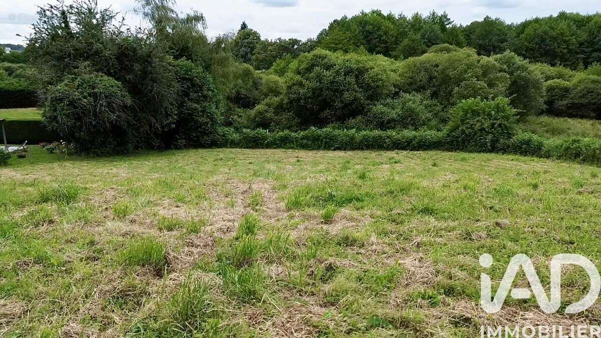 Photo 4 - Terrain à LIMOGES