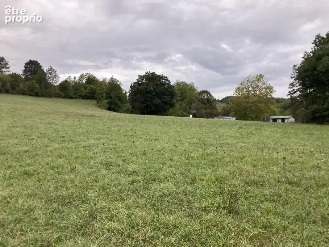 Terrain plat à vendre de 2000m2 à Siorac en Périgord- PRIX NEGOCIABLE - photo 2