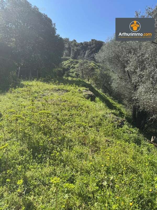 Vente Maison Fozzano(20143) 380 000ï¿œ - photo 9