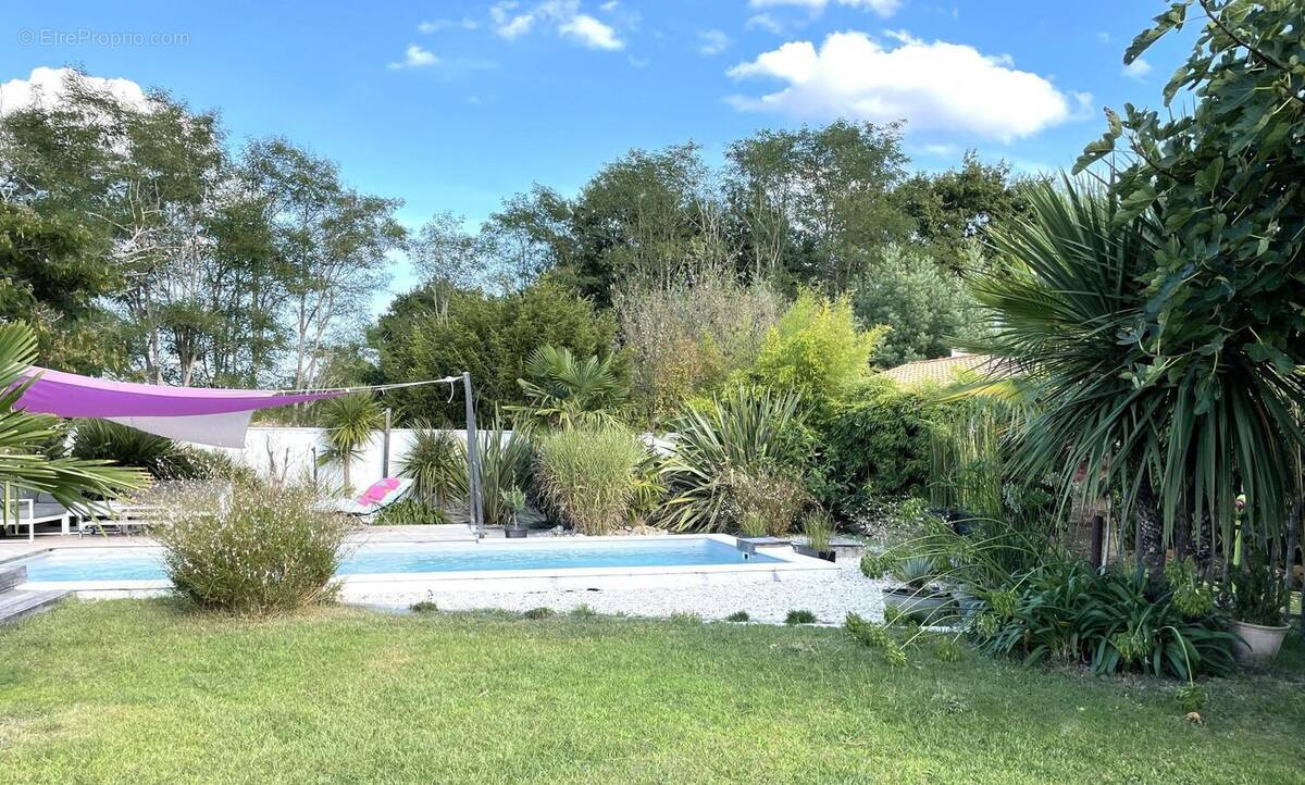 Photo 1 - Maison à LEGE-CAP-FERRET