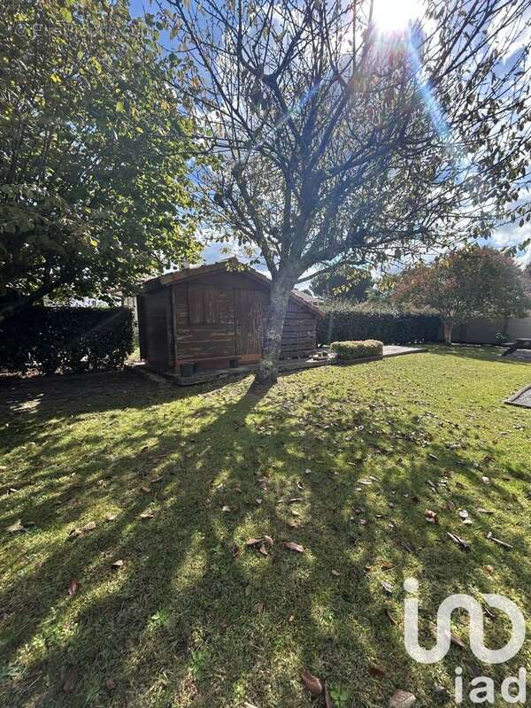 Photo 3 - Maison à TOSSE