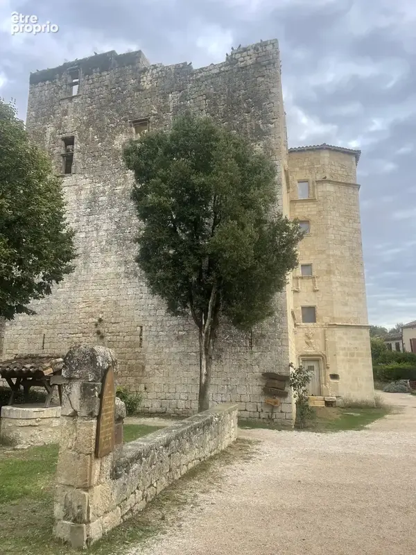 Château du XIII ème à restaurer  situé dans le petit village fortifié de Larressingle - photo 2