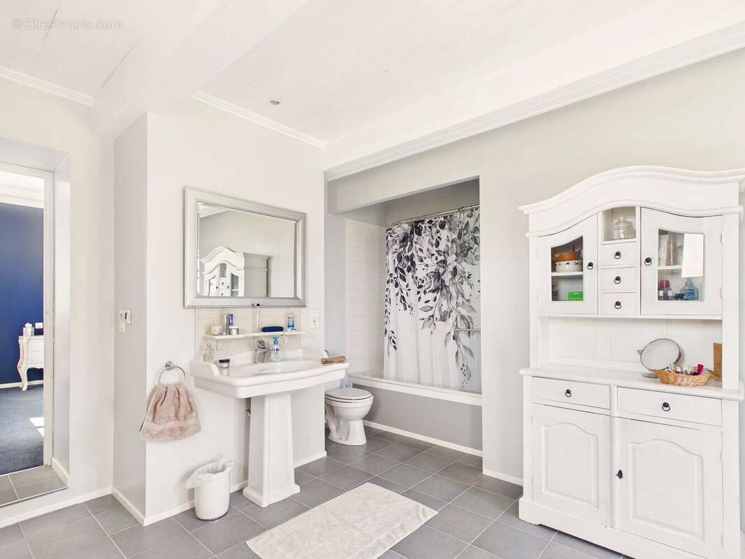 Maison à LISLE-SUR-TARN