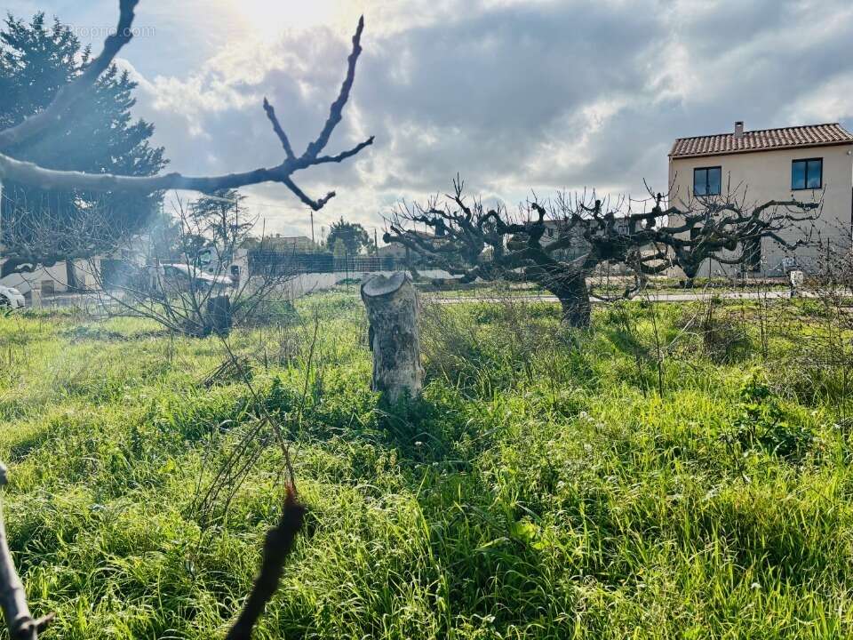 Terrain à LA FARLEDE