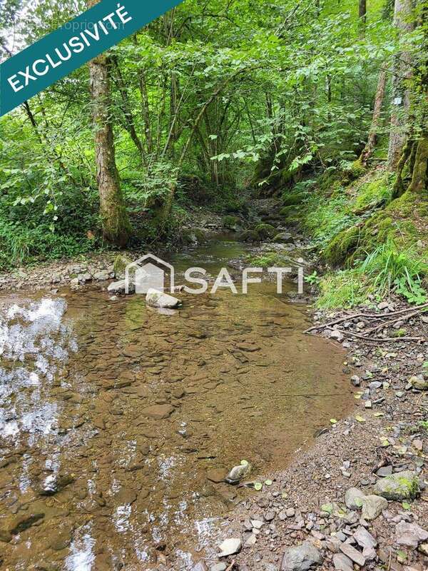 Photo 3 - Terrain à RONCHAMP