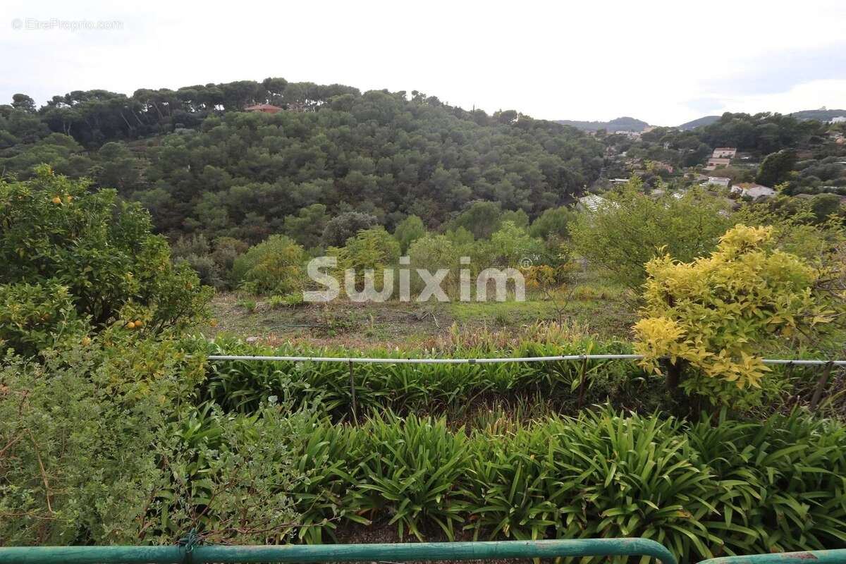 TERRAIN Constructible - photo 6