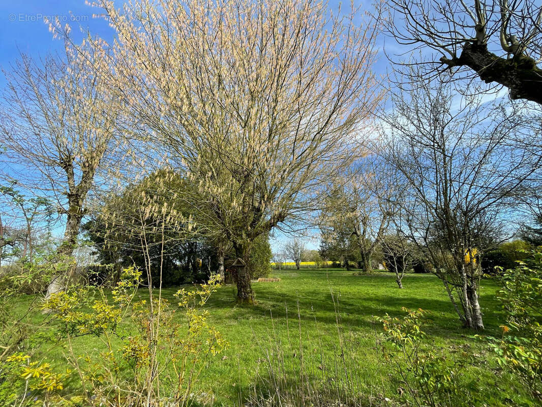 Photo 7 - Maison à SAINT-MARTIN-DU-BOSCHET