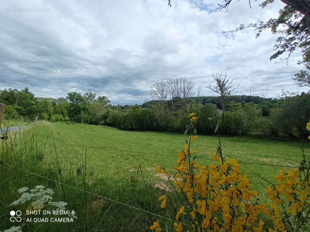Terrain à BROMONT-LAMOTHE